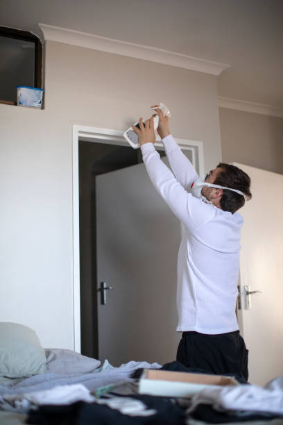 Trusted Wellington, OH Mold Removal Experts