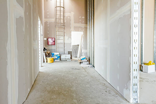 Best Attic Mold Removal  in Wellington, OH
